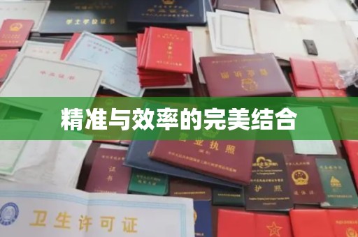 海棠精准与效率的完美结合
